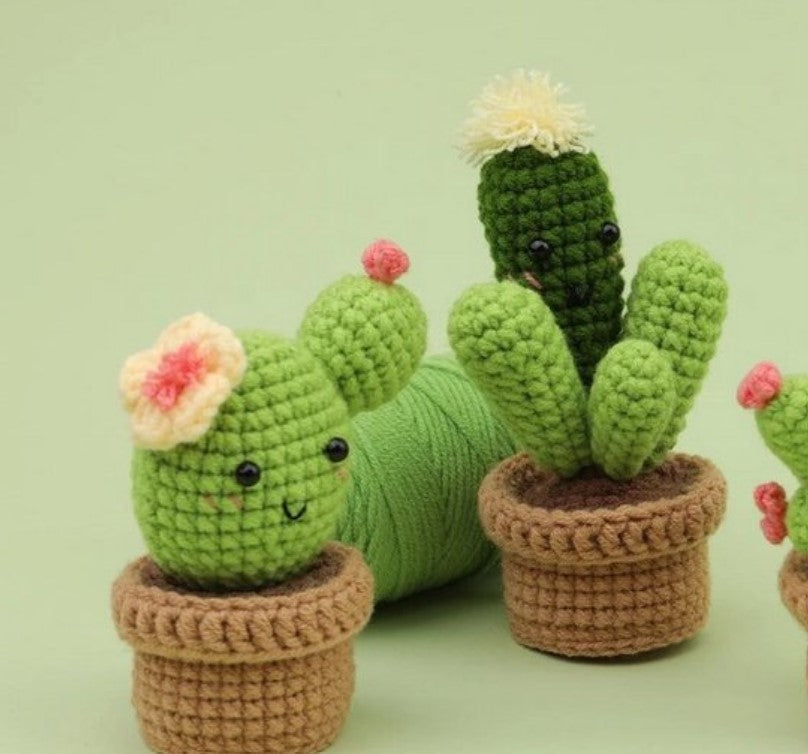 haken voor beginners - haakpakket schattige plantjes - haken voor starters - starterspakket haken - 6 plantjes