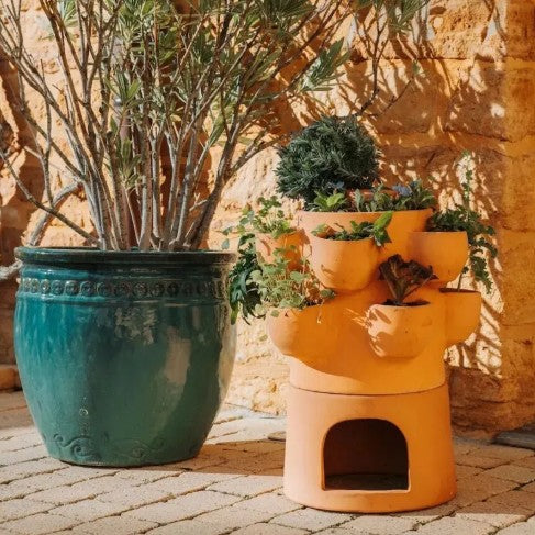 Premium wormencomposteerbak en moestuin in één design terracotta