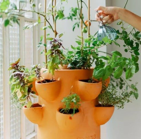 Wormencomposter voor tuin balkon en terras duurzaam composteren