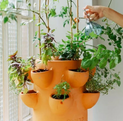 Wormencomposter voor tuin balkon en terras duurzaam composteren