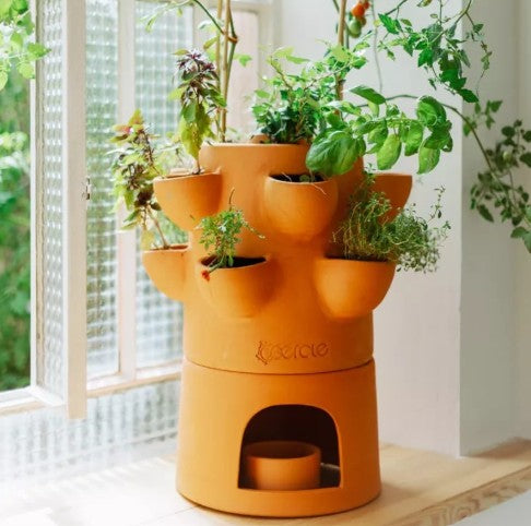 Composteerbak met moestuin functie voor verse groenten