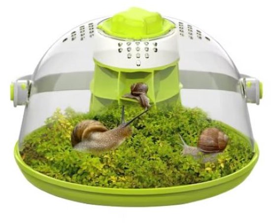 Slak- en Insecten Habitatbox – Transparant Voederterrarium voor Kleine Insecten