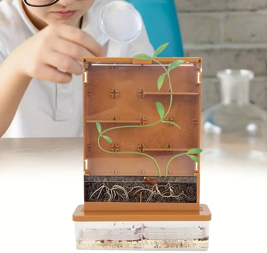 Interactief groen levenswetenschappen doolhof educatief wetenschapsproject