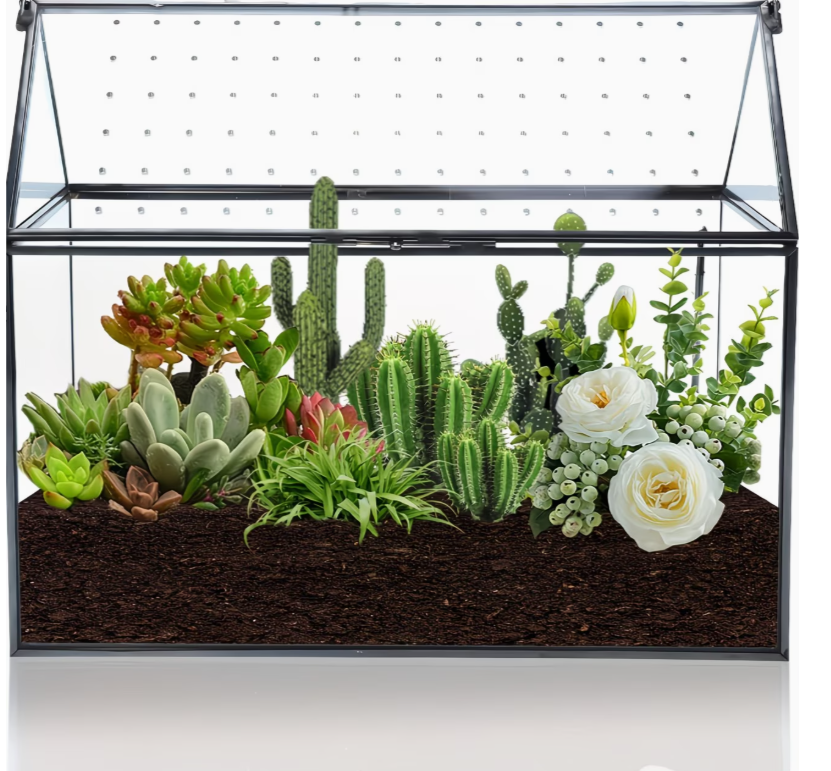 Groot glazen terrarium met acryl deksel voor planten en vetplanten