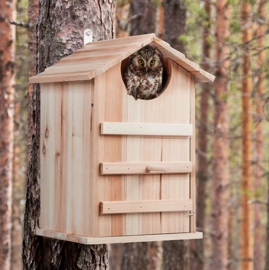 Uilenkast van Hout – Nestkast voor Steenuil en Kleine Uilen – Weerbestendig Vogelhuis met Klapdeur – 38,5 cm hoogte