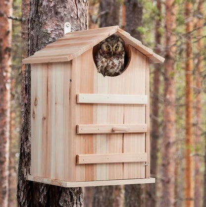 Uilenkast van Hout – Nestkast voor Steenuil en Kleine Uilen – Weerbestendig Vogelhuis met Klapdeur – 38,5 cm hoogte