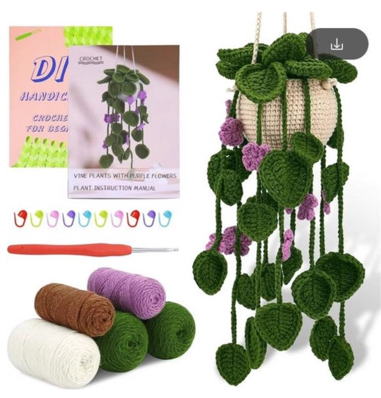 Haakpakket voor Beginners: Schattig Hangplantje in Groen en Paars - Starterspakket Haken voor Starters en Liefhebbers