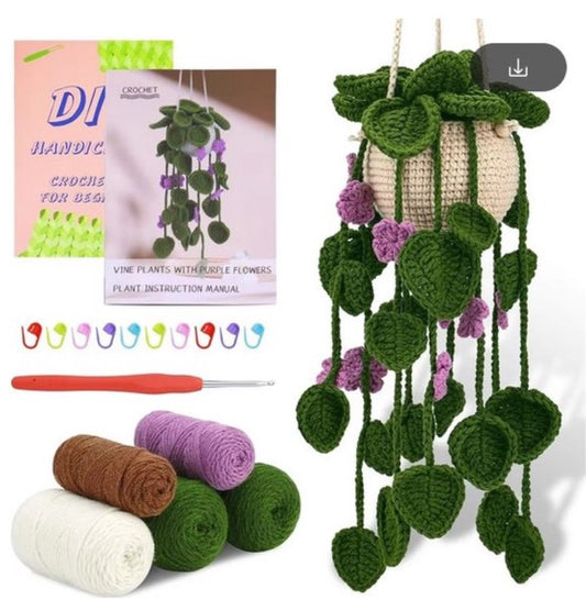 Haakpakket voor Beginners: Schattig Hangplantje in Groen en Paars - Starterspakket Haken voor Starters en Liefhebbers