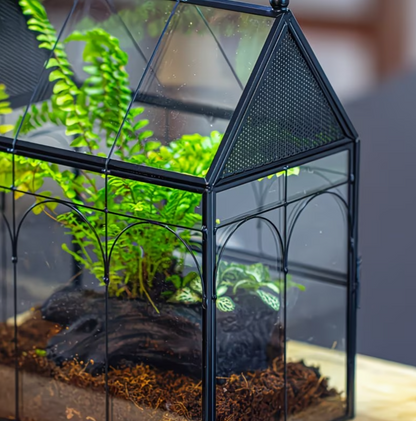 Transparant kweekbak terrarium voor spinnen en schorpioenen