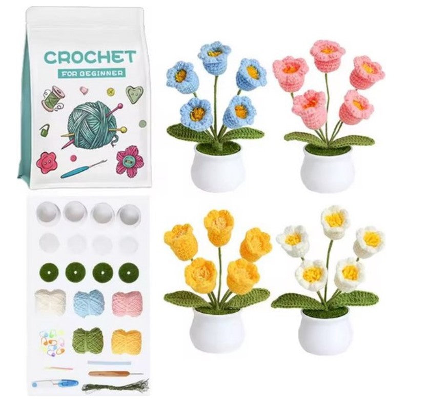 haken voor beginners - haakpakket schattige potbloemplanten - haken voor starters - starterspakket haken - 4-delig - haken voor liefhebbers