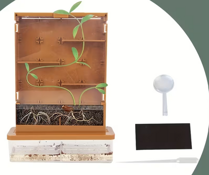 Mini-tuin met hydroponische basis voor worttracking experiment