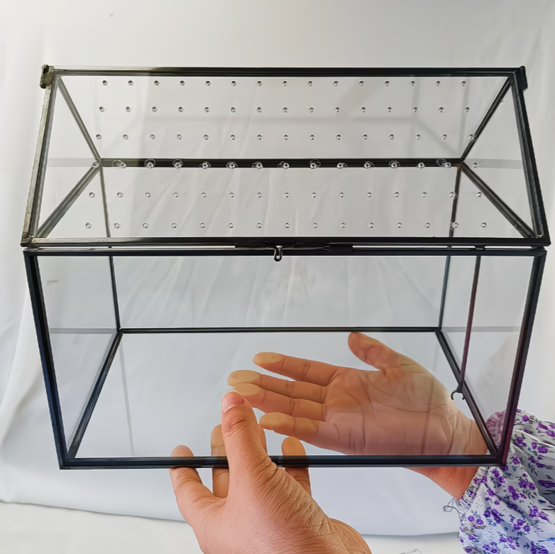 Modern terrarium plantenbak voor reptielen en insecten