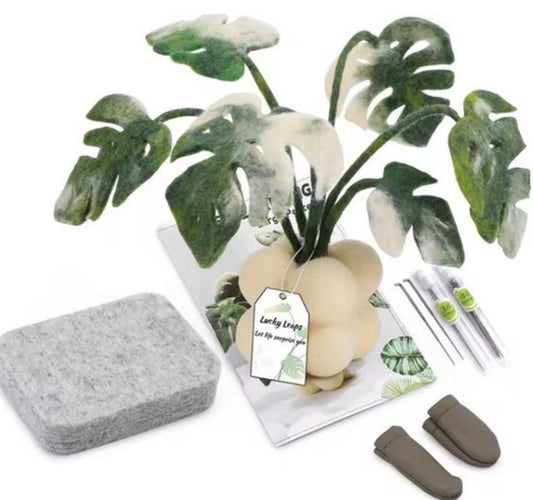 naaldvilten voor beginners - naaldvilt pakket sierlijke plant - naaldvilten voor starters - starterspakket naaldvilten