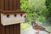Nistkast met 3 Nestruimtes – 34 mm Invliegopening – 100% Roofdierveilig – Massief Hout – Weerbestendig & Duurzaam Handgemaakt in Duitsland