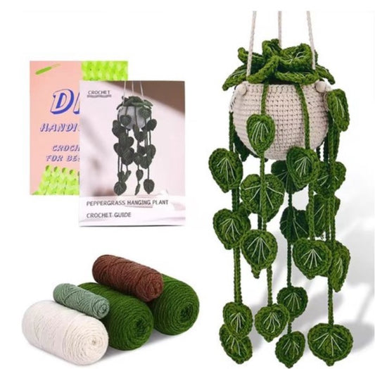 Haakpakket voor Beginners - Schattig Hangplantje Haken - Starterspakket Haken voor Starters - DIY Haakset voor Beginners
