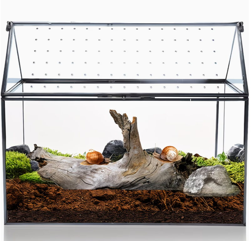 Terrarium zijaanzicht met transparant glas en deksel