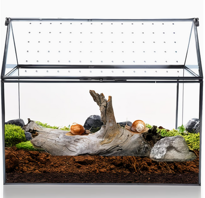 Terrarium zijaanzicht met transparant glas en deksel