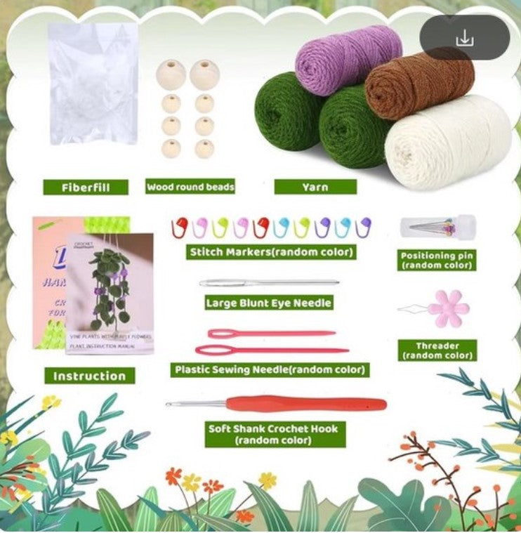 Haakpakket voor Beginners: Schattig Hangplantje in Groen en Paars - Starterspakket Haken voor Starters en Liefhebbers