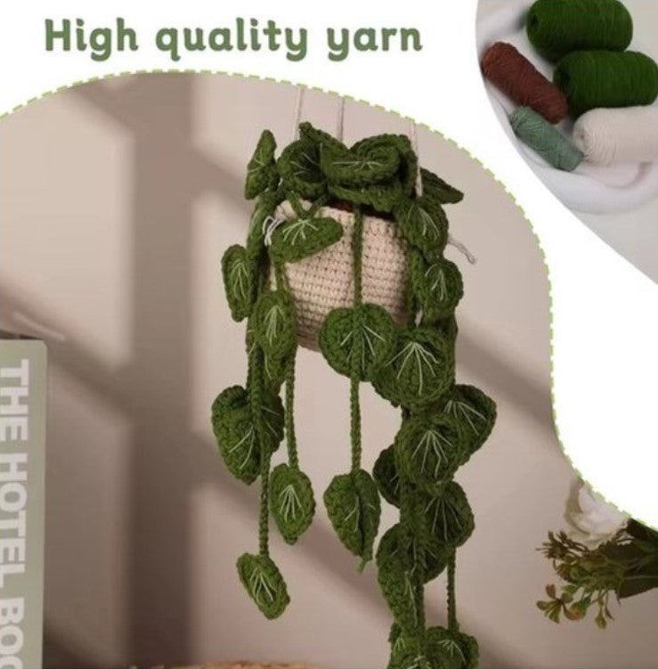 Haakpakket voor Beginners - Schattig Hangplantje Haken - Starterspakket Haken voor Starters - DIY Haakset voor Beginners