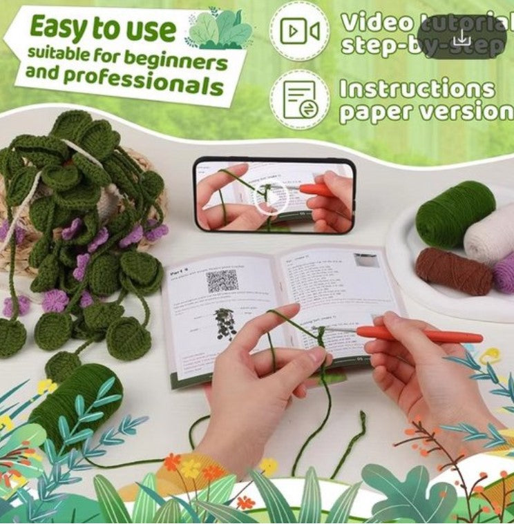 Haakpakket voor Beginners: Schattig Hangplantje in Groen en Paars - Starterspakket Haken voor Starters en Liefhebbers