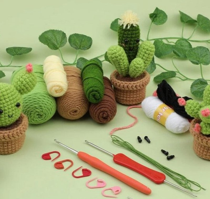 haken voor beginners - haakpakket schattige plantjes - haken voor starters - starterspakket haken - 6 plantjes