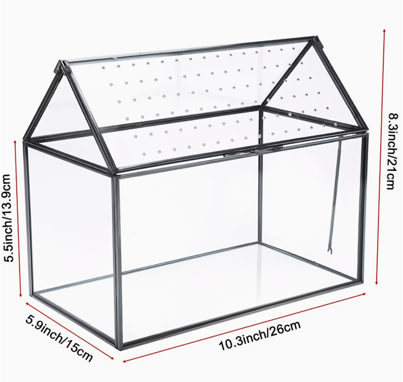 Terrarium detail van acryl deksel eenvoudig schoon te maken