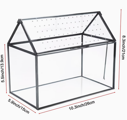 Terrarium detail van acryl deksel eenvoudig schoon te maken