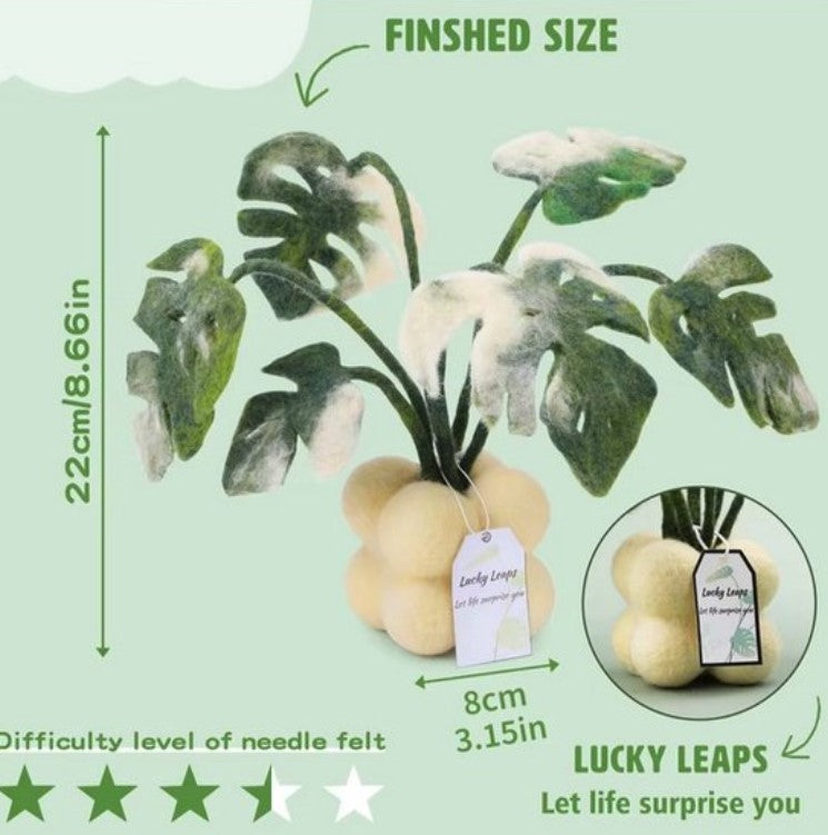 naaldvilten voor beginners - naaldvilt pakket sierlijke plant - naaldvilten voor starters - starterspakket naaldvilten