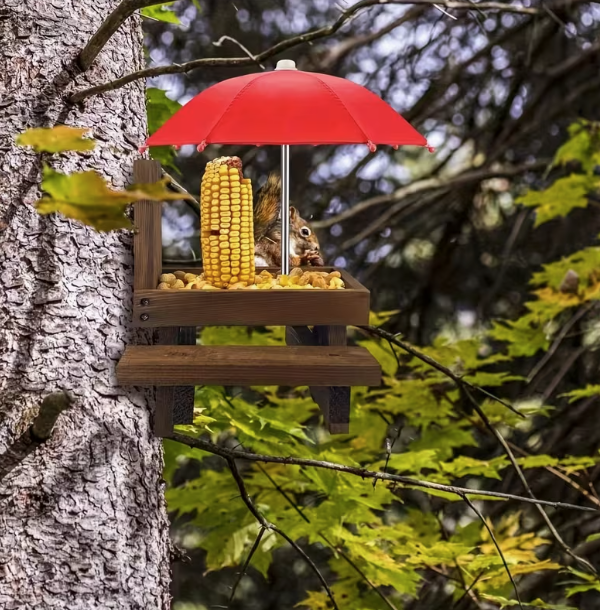 Eekhoorn Picknicktafel Voeder met Parasol – Houten Maïskolf & Notenvoederen voor in de Tuin