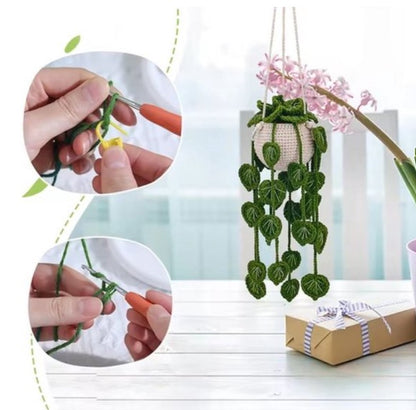 Haakpakket voor Beginners - Schattig Hangplantje Haken - Starterspakket Haken voor Starters - DIY Haakset voor Beginners