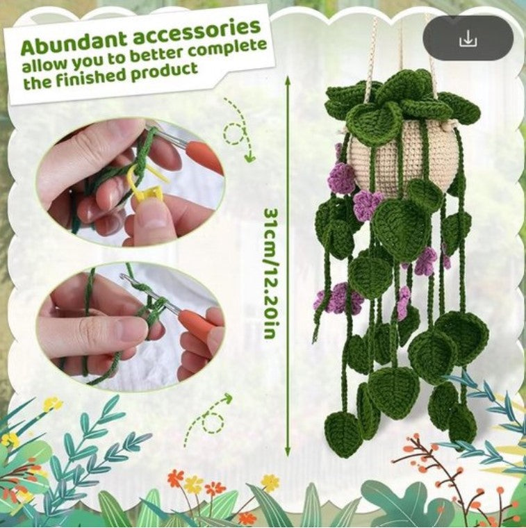 Haakpakket voor Beginners: Schattig Hangplantje in Groen en Paars - Starterspakket Haken voor Starters en Liefhebbers