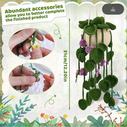 Haakpakket voor Beginners: Schattig Hangplantje in Groen en Paars - Starterspakket Haken voor Starters en Liefhebbers