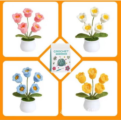 haken voor beginners - haakpakket schattige potbloemplanten - haken voor starters - starterspakket haken - 4-delig - haken voor liefhebbers