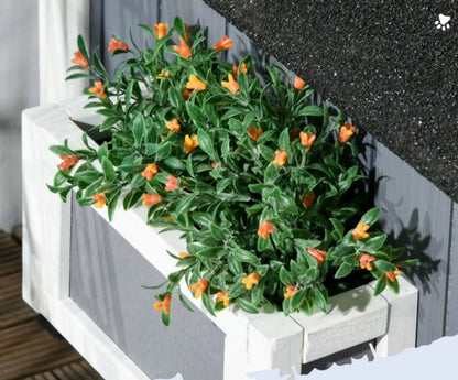 Premium Kattenhuis – 2 Verdiepingen | Veilig, Comfortabel & Duurzaam