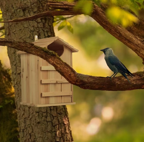 Uilenkast van Hout – Nestkast voor Steenuil en Kleine Uilen – Weerbestendig Vogelhuis met Klapdeur – 38,5 cm hoogte
