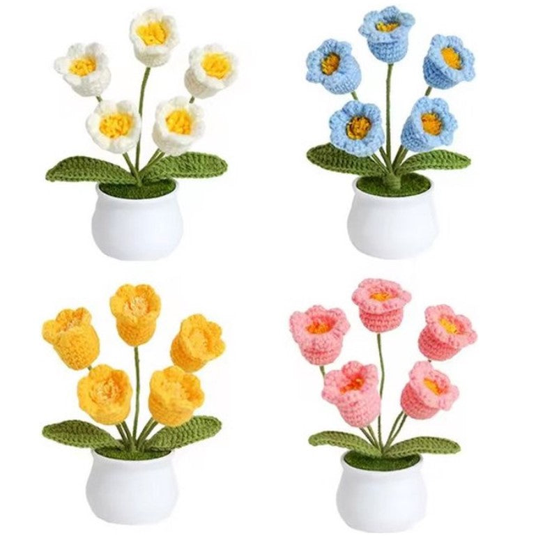 haken voor beginners - haakpakket schattige potbloemplanten - haken voor starters - starterspakket haken - 4-delig - haken voor liefhebbers