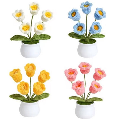 haken voor beginners - haakpakket schattige potbloemplanten - haken voor starters - starterspakket haken - 4-delig - haken voor liefhebbers