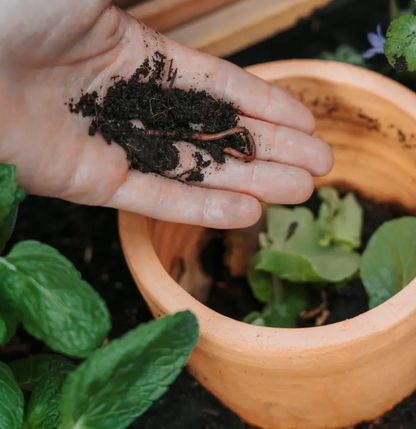 Composter voor keukenafval in moestuin