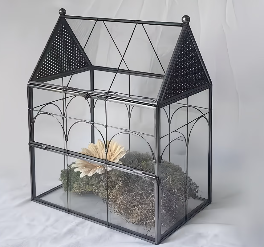 Transparant glazen terrarium geschikt voor ongewervelden habitat
