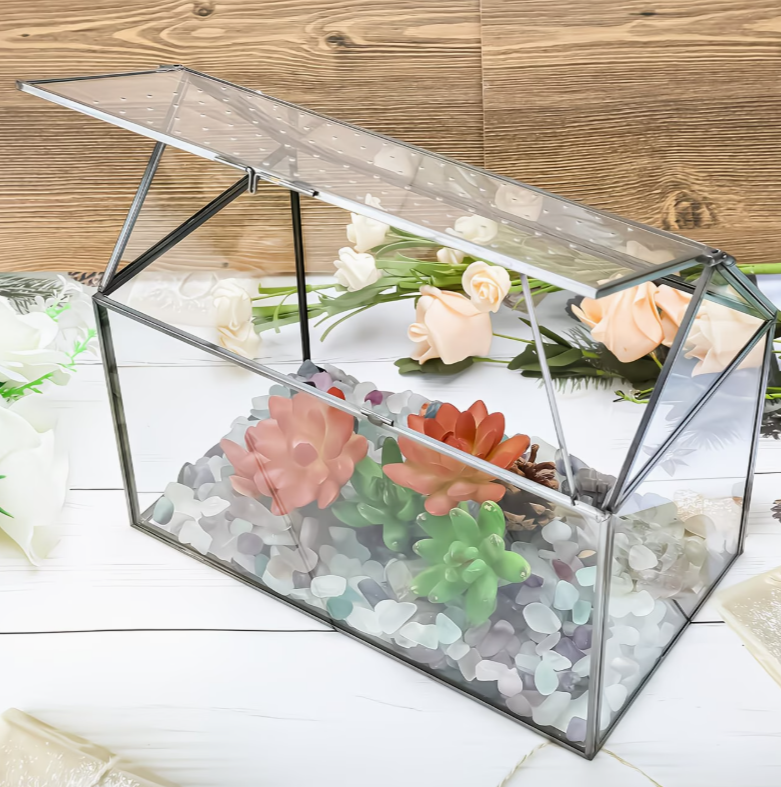 Terrarium ruimtebesparend ontwerp voor binnen