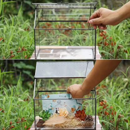 Terrarium plantenbak met planten en groen