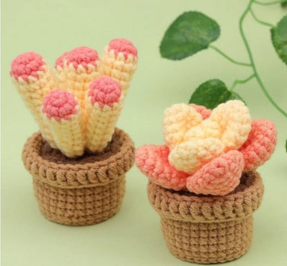 haken voor beginners - haakpakket schattige plantjes - haken voor starters - starterspakket haken - 6 plantjes