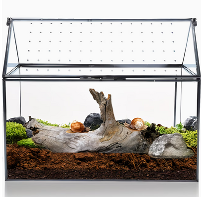 Modern glas terrarium voor reptielen en insecten habitat