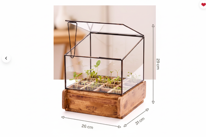 Mini greenhouse with clear dimensions