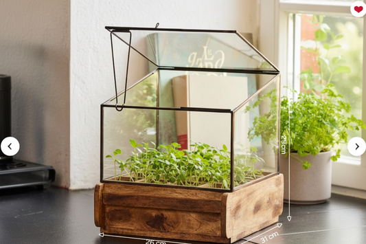 Mini greenhouse with dimensions